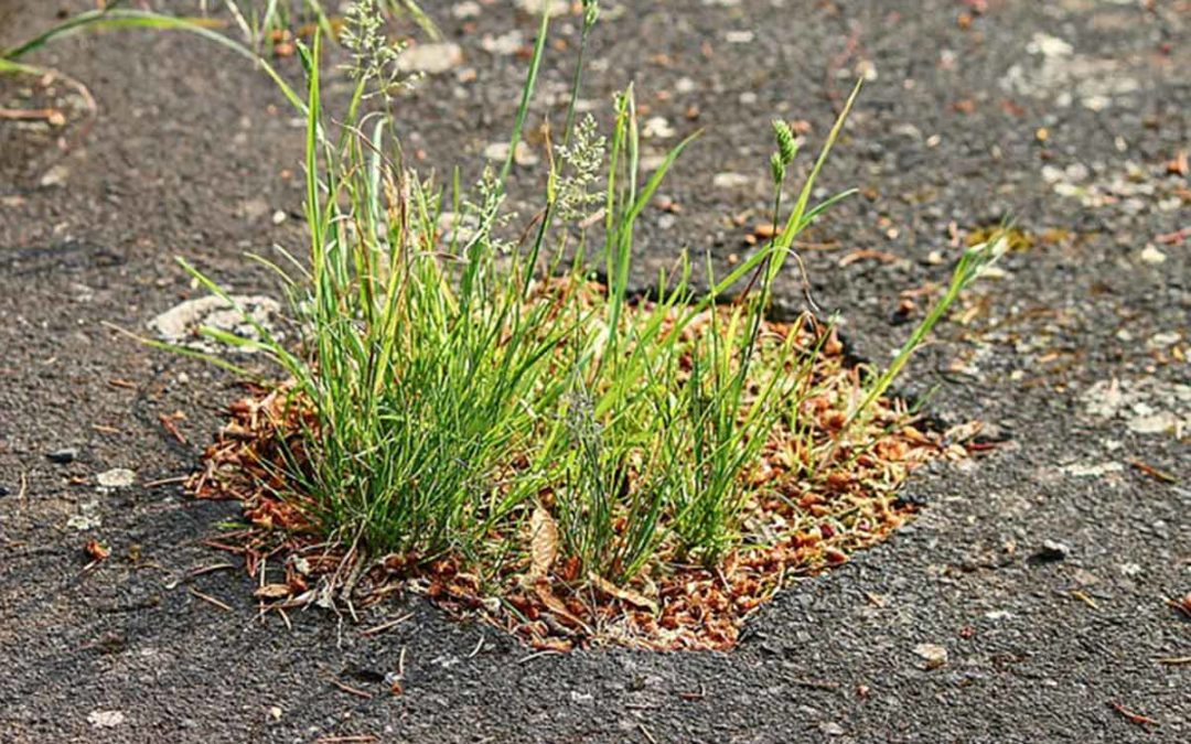 Asphalt Repairs in St. Louis: Helping you Weather the Recession
